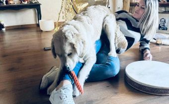 Initiation au Reiki Animal