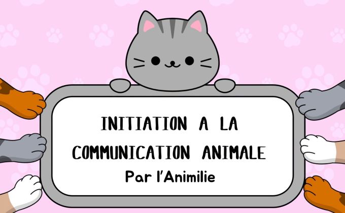 Communication Animale